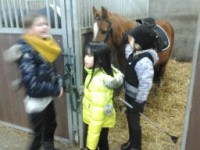 /album/the-best-pony/camera-marjan-1751-jpg/